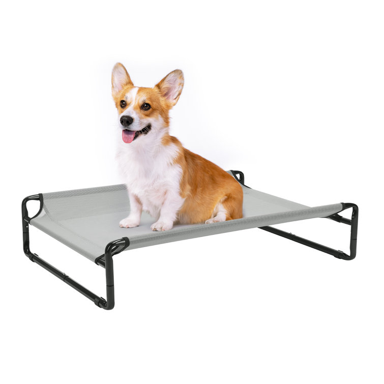 Xl elevated dog store bed